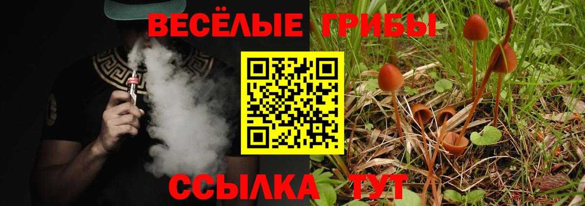 Галлюциногенные грибы прущие грибы Калининград