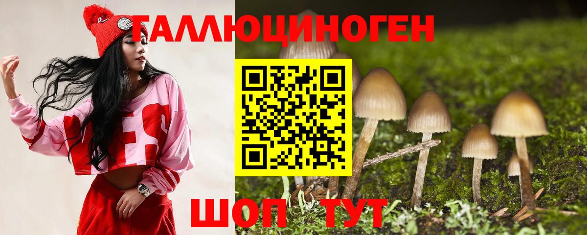 купить  цена  Вход с VPN  Калининград  Псилоцибиновые грибы мухоморы 